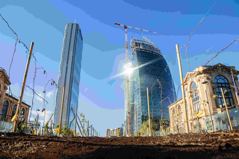 Ecco la vigna di Citylife. Tra i grattacieli, 170 piante di uva – FOTO