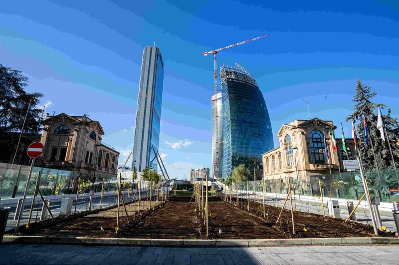 Ecco la vigna di Citylife. Tra i grattacieli, 170 piante di uva – FOTO