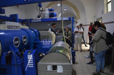 A Caprarica, in Salento, la camminata tra gli olivi