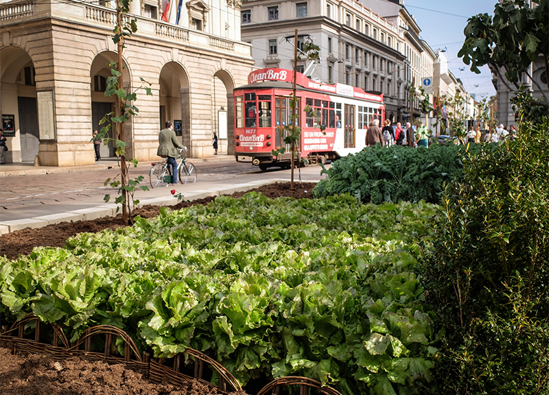 Caro Sindaco ti scrivo, gli under 9 vogliono una città ecologica e solidale Caro Sindaco ti scrivo, gli under 9 vogliono una città ecologica e solidale