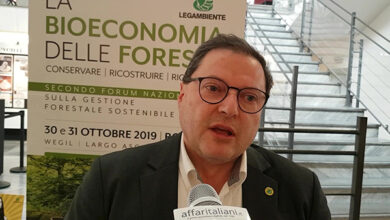 Nicoletti, Legambiente: “Legno, filiera produttiva italiana va valorizzata”