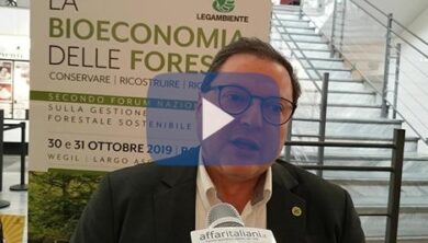 FederlegnoArredo lancia “Legno Clima”: valorizziamo il legno locale