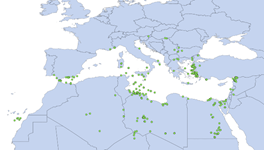 Traffico di umani, uno studio conferma: “Più cooperazione per il contrasto”