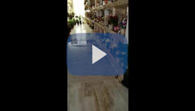 Romani condannati pure da morti. La vergogna del cimitero Flaminio. Video