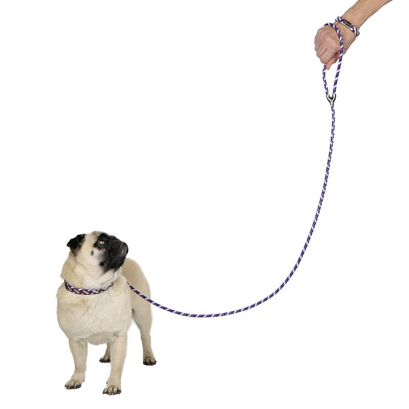 Animali, spesa boom. Tre volte quella per i bambini Animali, spesa boom. Tre volte quella per i bambini
