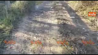 Maltempo in Puglia, rinvenuti pesci rossi nelle campagne salentine