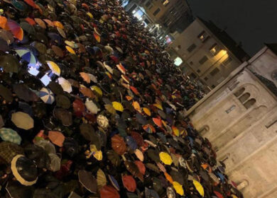 Sardine in arrivo a Milano. E il Pd le spinge (ma senza bandiere). E poi?