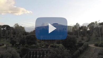 Eur, al laghetto piantati dai bambini 24 nuovi alberi: sono ciliegi giapponesi