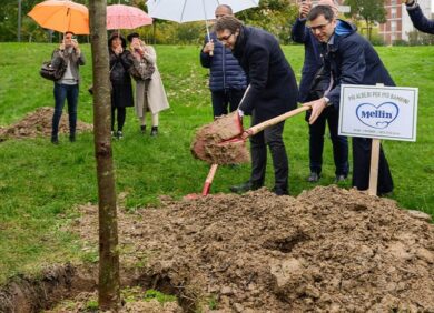 Maran pianta un albero, ma gli agronomi da tastiera insorgono…
