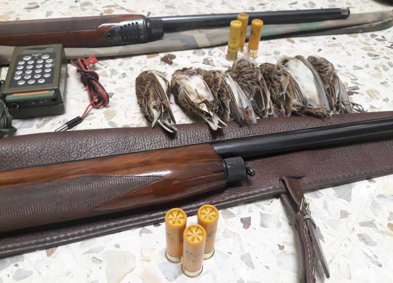 Strage di uccelli: 29 bracconieri denunciati, sequestrati richiami e 18 fucili