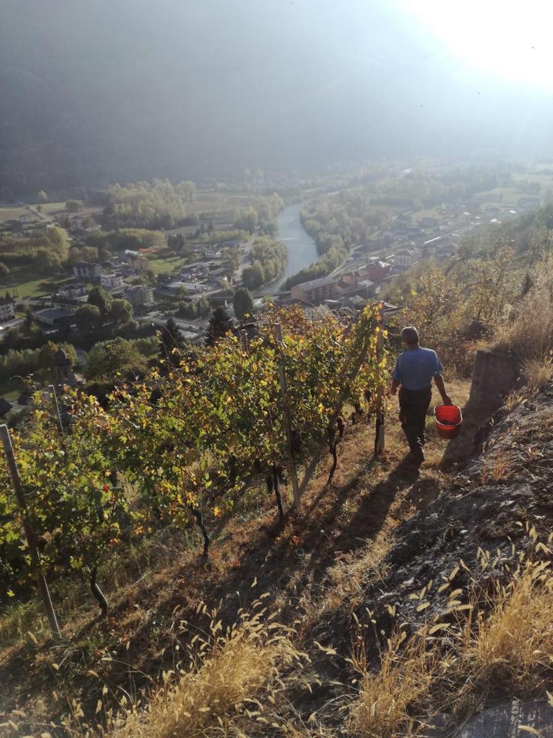 Vino di Valtellina di Pietro Nera sul tetto del mondo Vino di Valtellina di Pietro Nera sul tetto del mondo