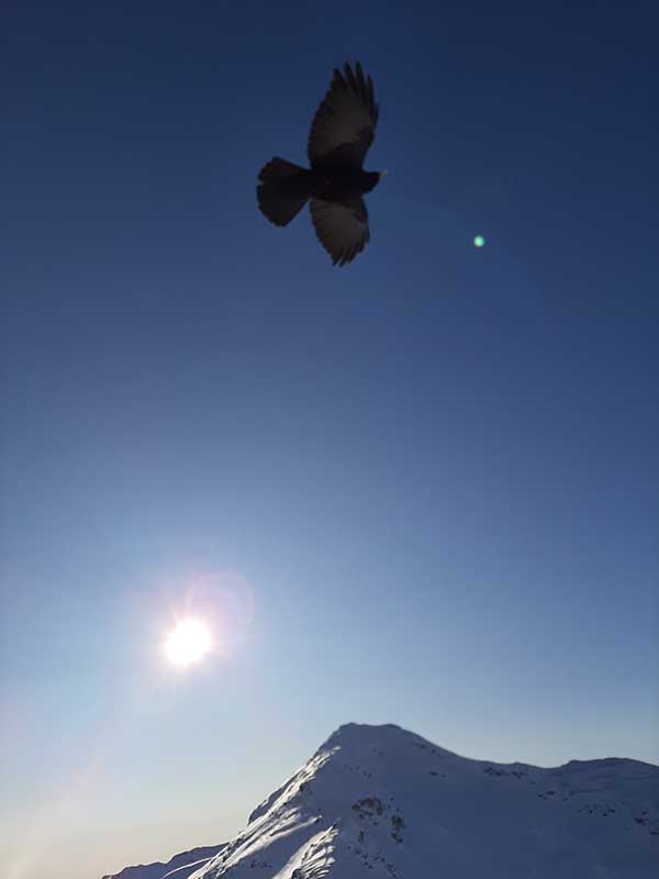 Bormio, stagione invernale 2019: una partenza col botto Bormio, stagione invernale 2019: una partenza col botto