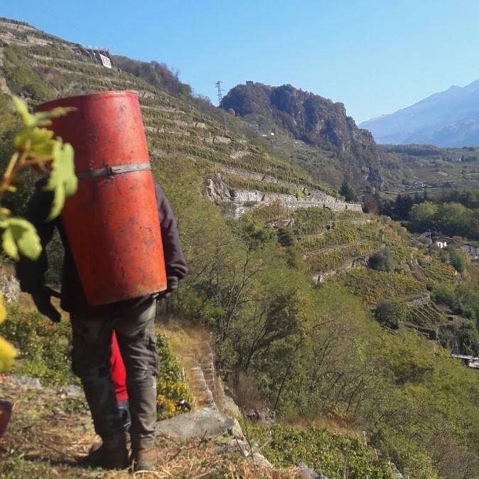 Vino di Valtellina di Pietro Nera sul tetto del mondo Vino di Valtellina di Pietro Nera sul tetto del mondo
