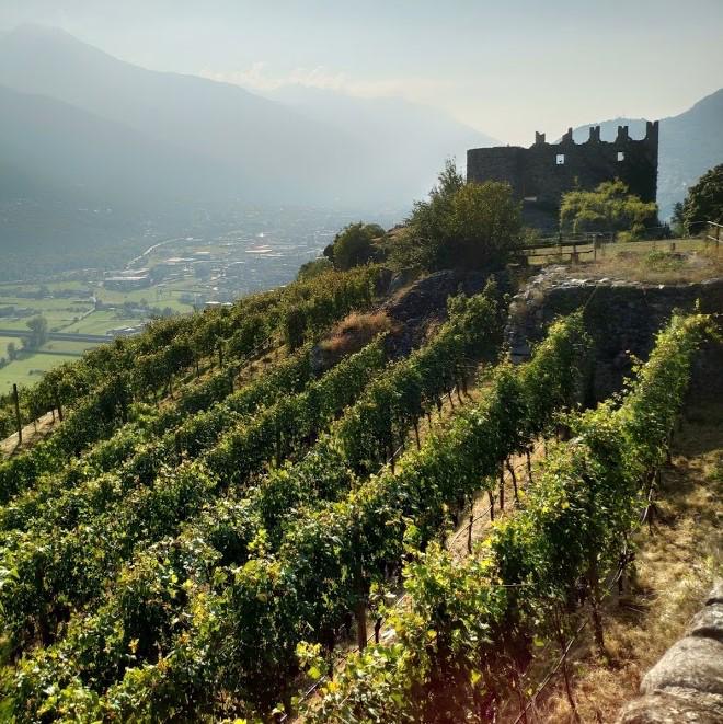 Vino di Valtellina di Pietro Nera sul tetto del mondo Vino di Valtellina di Pietro Nera sul tetto del mondo