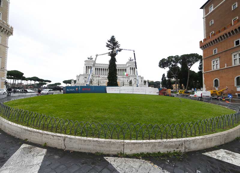 Grandi opere a Roma: è arrivato Spelacchio 2019-2020. L’albero delle risate