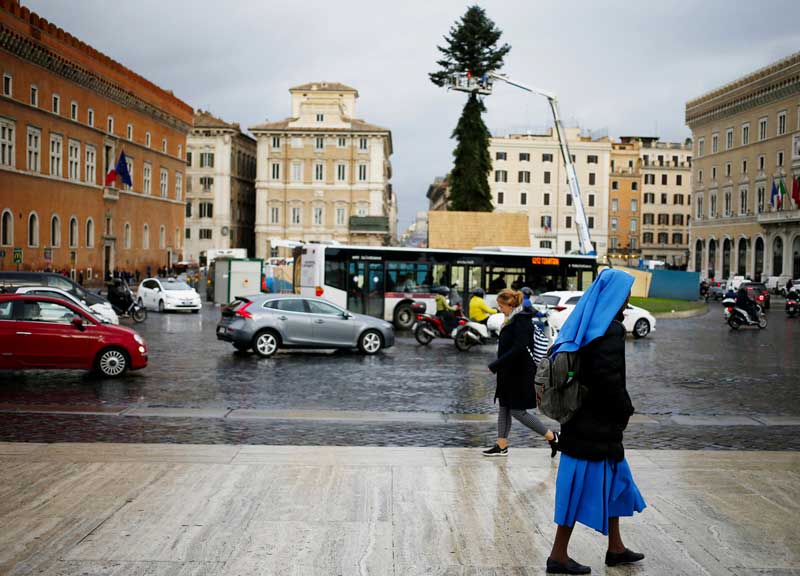 Grandi opere a Roma: è arrivato Spelacchio 2019-2020. L’albero delle risate