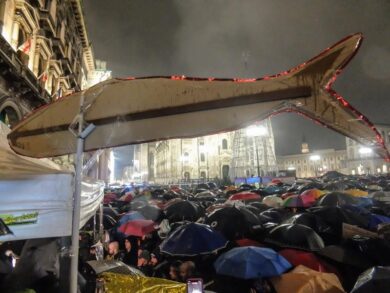 Sardine: meglio aspettare a dare giudizi. Il rischio di sbagliare è alto