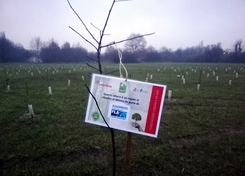 Parco Nord Milano: il primo albero del “Bosco del Design” Parco Nord Milano: il primo albero del “Bosco del Design”