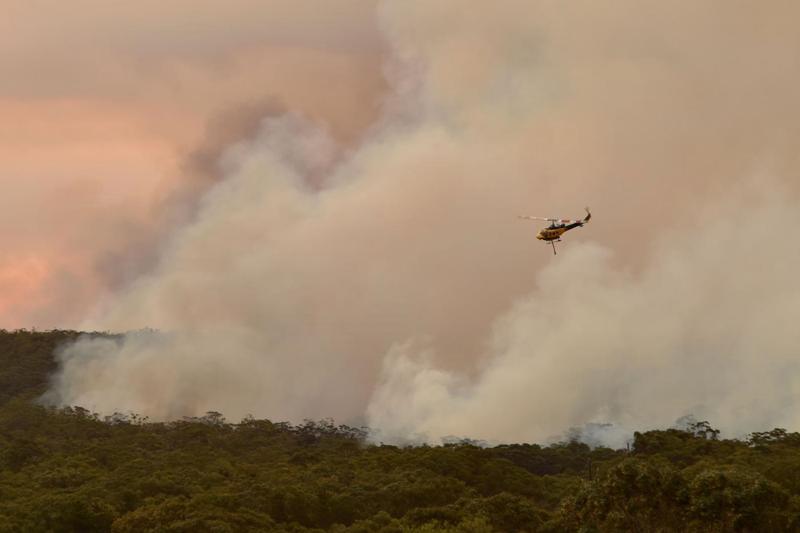 Australia, nuovo record di temperature: roghi alle porte di Sydney Australia, nuovo record di temperature: roghi alle porte di Sydney