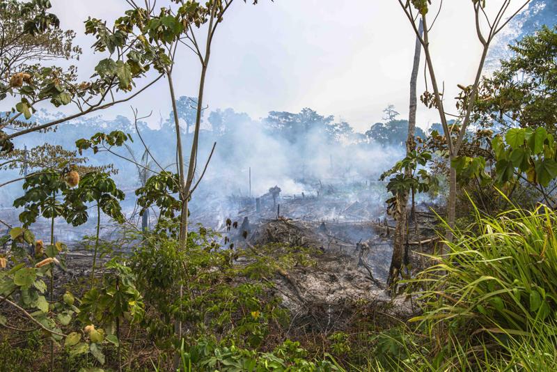 Amazzonia 2019, foresta in fiamme: bruciati 12 mln di ettari. Il fotoreportage