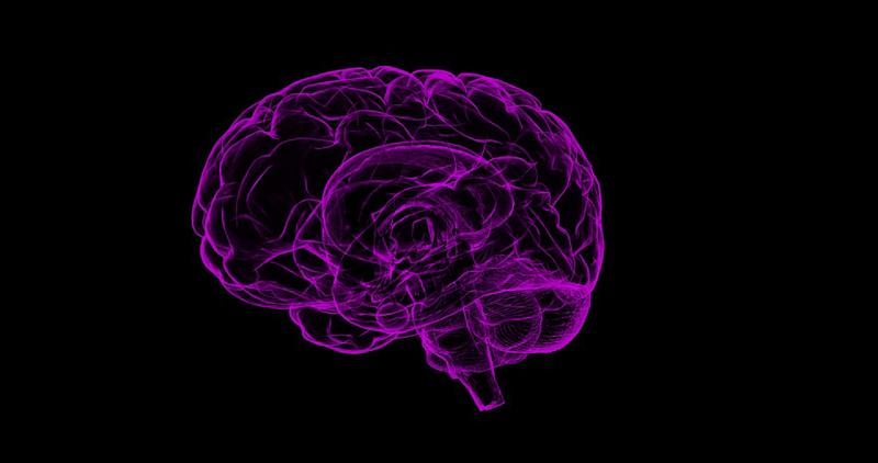ALZHEIMER, la cura di Natale: parlano gli esperti. Alzheimer news ALZHEIMER, la cura di Natale: parlano gli esperti. Alzheimer news