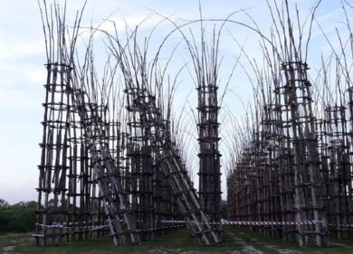 Lodi, le ruspe demoliscono la “cattedrale vegetale” pericolante