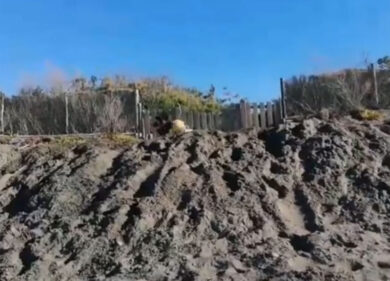 M5s, Grillo scava fossa in spiaggia: “Il 2020 sarà anno meraviglioso”. Video