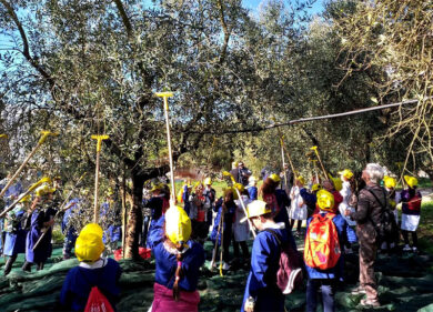 Fake news su olio: per Coldiretti e Aprol nuove opportunità dall’oleoturismo