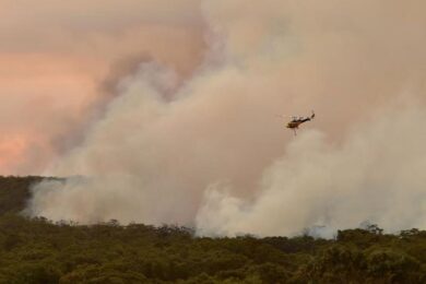 Australia, 23 morti negli incendi: riservisti in campo