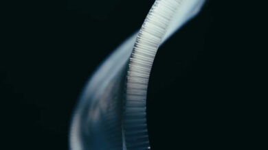 Nissan al CES 2020  presenta il metamateriale