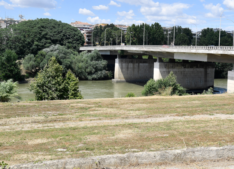Donna si getta nel Tevere da Ponte Marconi, la salva il tassista: era ubriaca Donna si getta nel Tevere da Ponte Marconi, la salva il tassista: era ubriaca