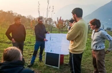 La burocrazia blocca i giovani imprenditori green. Coldiretti: Rinuncia 1 su 2