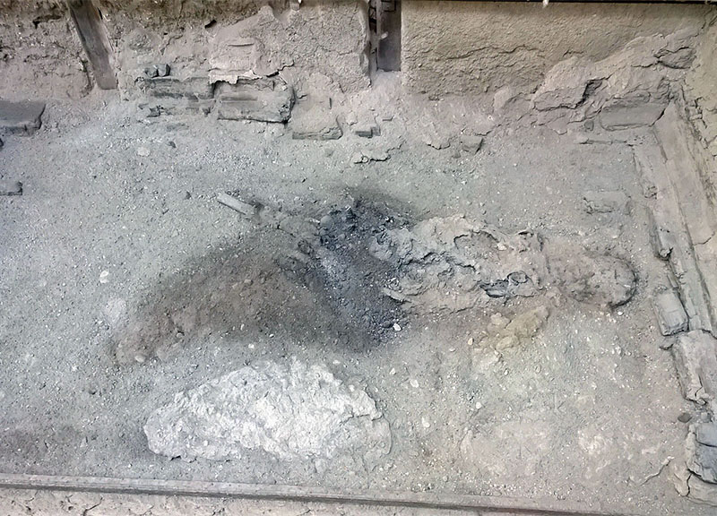 Ercolano antica: rinvenuti i resti di un cervello di una vittima del Vesuvio Ercolano antica: rinvenuti i resti di un cervello di una vittima del Vesuvio