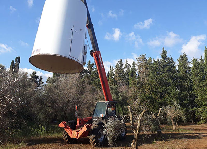 Galleria foto 'Xylella uccisa dal freddo. Scoperto il rimedio contro il batterio. ESCLUSIVA' - foto 1