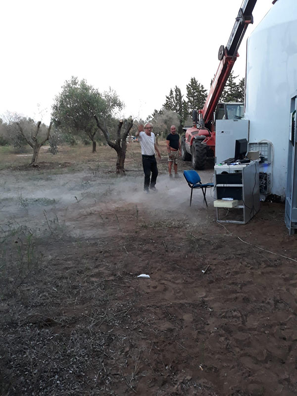 Xylella uccisa dal freddo. Scoperto il rimedio contro il batterio. ESCLUSIVA Xylella uccisa dal freddo. Scoperto il rimedio contro il batterio. ESCLUSIVA
