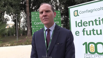 Confagricoltura, Giansanti: “Abbiamo bisogno di fare strategia”