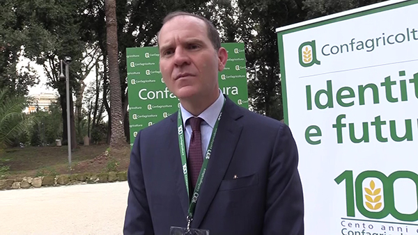 Confagricoltura, Giansanti: “Abbiamo bisogno di fare strategia” Confagricoltura, Giansanti: “Abbiamo bisogno di fare strategia”