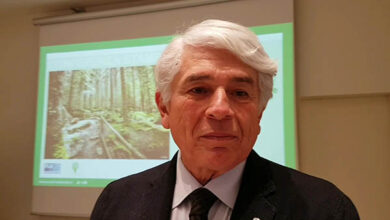 Negri, AFI: Rapporto sullo stato delle foreste in Lombardia (2018)