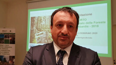 Cerullo, FederlegnoArredo:Rapporto sullo stato delle foreste in Lombardia 2018