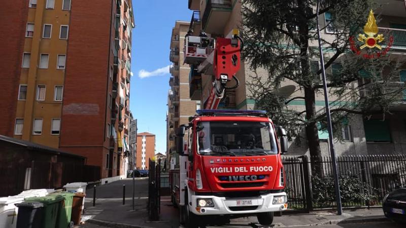 Corsico, cane bloccato su davanzale per forte vento, salvato da pompieri Corsico, cane bloccato su davanzale per forte vento, salvato da pompieri