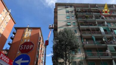 Corsico, cane bloccato su davanzale per forte vento, salvato da pompieri