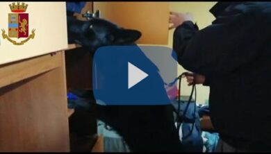 Droga, ristoranti a fuoco e buttafuori massacrati: è la banda di Colli Aniene