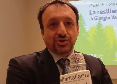 Sebastiano Cerullo, Federlegno: “Stiamo adottando la sostenibilità a 360°”