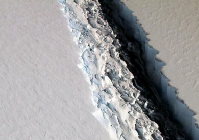 Il più grande iceberg del mondo sta per raggiungere l’oceano aperto