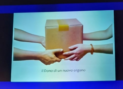 Trapianti d’organo, “chi dona vive 2 volte”. I rapporti umani oltre l’ospedale Trapianti d’organo, “chi dona vive 2 volte”. I rapporti umani oltre l’ospedale