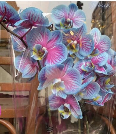 I fiori più belli di Milano? Da Daniele Ungaro in piazza Diocleziano
