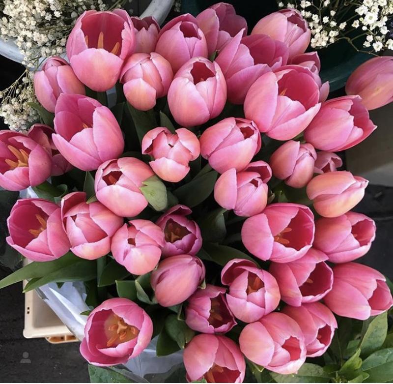 I fiori più belli di Milano? Da Daniele Ungaro in piazza Diocleziano