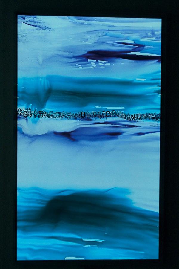 Maria Cristiana Fioretti, il colore dell’acqua. Mostra all’Acquario di Milano Maria Cristiana Fioretti, il colore dell’acqua. Mostra all’Acquario di Milano