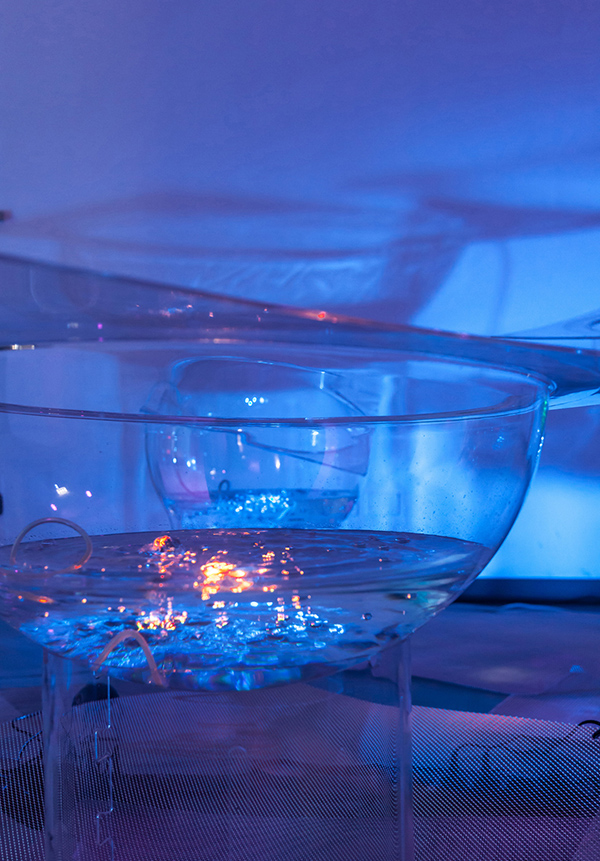 Maria Cristiana Fioretti, il colore dell’acqua. Mostra all’Acquario di Milano Maria Cristiana Fioretti, il colore dell’acqua. Mostra all’Acquario di Milano