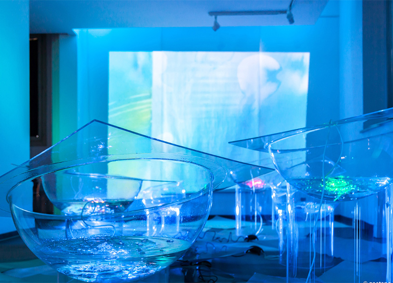 Maria Cristiana Fioretti, il colore dell’acqua. Mostra all’Acquario di Milano Maria Cristiana Fioretti, il colore dell’acqua. Mostra all’Acquario di Milano